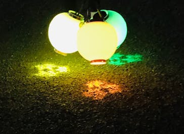 NAKED 紅葉の新宿御苑2023に投稿された画像（2023/11/23）