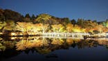国営昭和記念公園 秋の夜散歩に投稿された画像（2023/11/23）