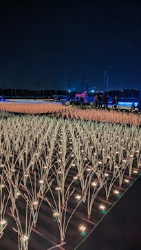 東京メガイルミに投稿された画像（2023/11/23）