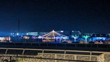 東京メガイルミに投稿された画像（2023/11/23）