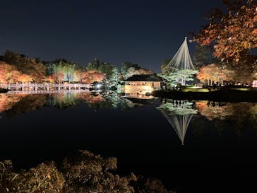 国営昭和記念公園 秋の夜散歩に投稿された画像（2023/11/23）