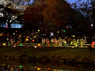 NAKED 紅葉の新宿御苑2023に投稿された画像（2023/11/23）