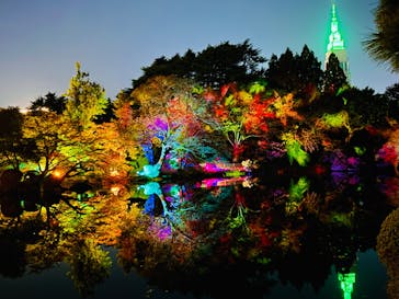 NAKED 紅葉の新宿御苑2023に投稿された画像（2023/11/23）