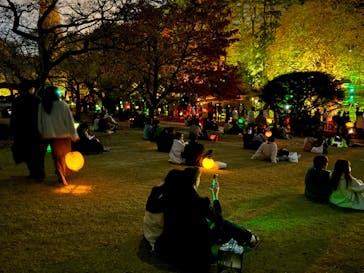 NAKED 紅葉の新宿御苑2023に投稿された画像（2023/11/23）