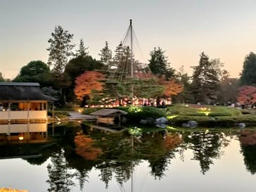 国営昭和記念公園 秋の夜散歩に投稿された画像（2023/11/23）