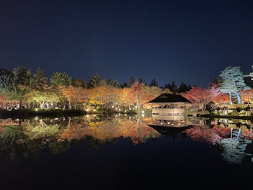 国営昭和記念公園 秋の夜散歩に投稿された画像（2023/11/23）