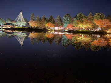 国営昭和記念公園 秋の夜散歩に投稿された画像（2023/11/23）
