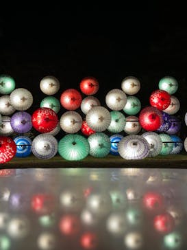 国営昭和記念公園 秋の夜散歩に投稿された画像（2023/11/23）