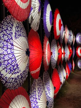 国営昭和記念公園 秋の夜散歩に投稿された画像（2023/11/23）