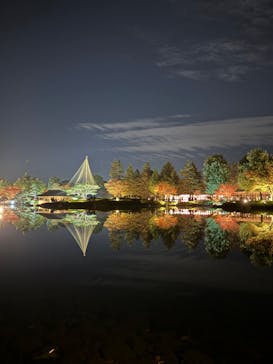 国営昭和記念公園 秋の夜散歩に投稿された画像（2023/11/23）