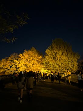 国営昭和記念公園 秋の夜散歩に投稿された画像（2023/11/23）