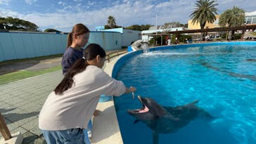 南知多ビーチランド＆南知多おもちゃ王国に投稿された画像（2023/11/23）