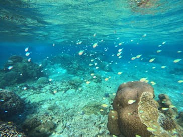 宮古島 ADVENTURE PiPi（ミヤコジマ アドベンチャー ピピ）に投稿された画像（2023/11/23）