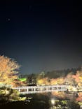 国営昭和記念公園 秋の夜散歩に投稿された画像（2023/11/24）