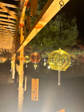 国営昭和記念公園 秋の夜散歩に投稿された画像（2023/11/23）