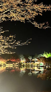 国営昭和記念公園 秋の夜散歩に投稿された画像（2023/11/23）