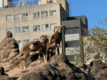 天王寺動物園に投稿された画像（2023/11/24）
