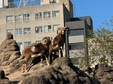 天王寺動物園に投稿された画像（2023/11/23）