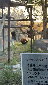 天王寺動物園に投稿された画像（2023/11/23）