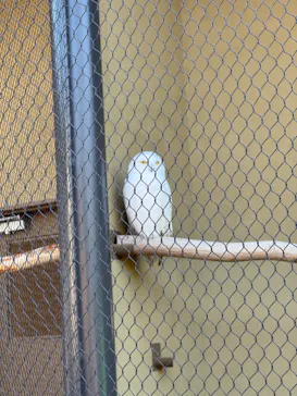 天王寺動物園に投稿された画像（2023/11/23）