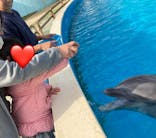 南知多ビーチランド＆南知多おもちゃ王国に投稿された画像（2023/11/24）