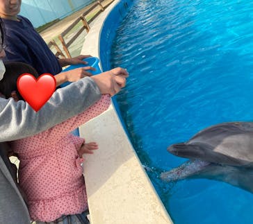 南知多ビーチランド＆南知多おもちゃ王国に投稿された画像（2023/11/23）