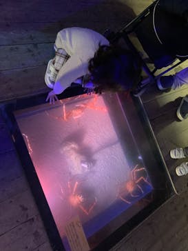 南知多ビーチランド＆南知多おもちゃ王国に投稿された画像（2023/11/23）