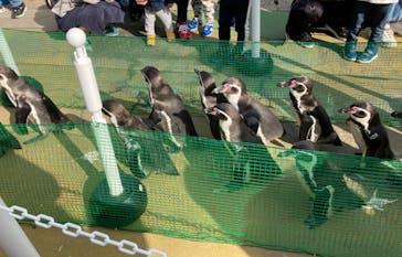 南知多ビーチランド＆南知多おもちゃ王国に投稿された画像（2023/11/23）