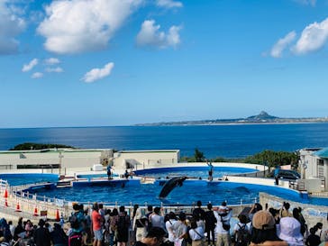 沖縄美ら海水族館に投稿された画像（2023/11/23）