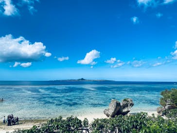 沖縄美ら海水族館に投稿された画像（2023/11/23）