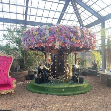 京成バラ園に投稿された画像（2023/11/23）