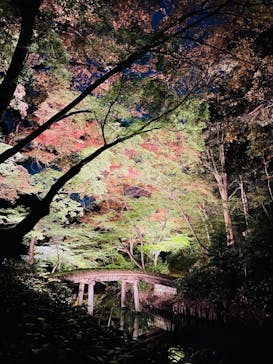 六義園に投稿された画像（2023/11/23）