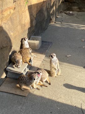 よこはま動物園ズーラシアに投稿された画像（2023/11/23）