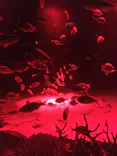 サンシャイン水族館に投稿された画像（2023/11/24）