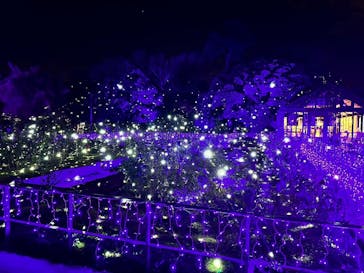 江の島シーキャンドルに投稿された画像（2023/11/23）