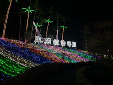美らヤシパークオキナワ・東南植物楽園に投稿された画像（2023/11/23）