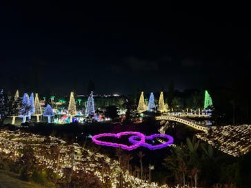 美らヤシパークオキナワ・東南植物楽園に投稿された画像（2023/11/23）