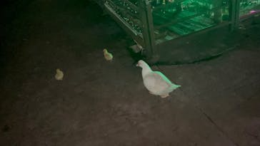 美らヤシパークオキナワ・東南植物楽園に投稿された画像（2023/11/23）