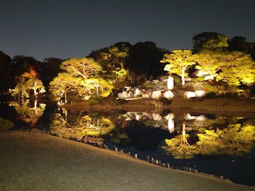 六義園に投稿された画像（2023/11/23）