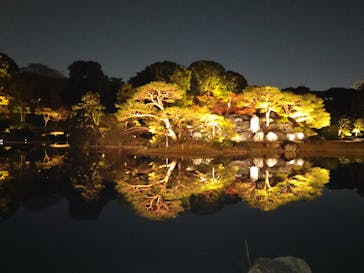 六義園に投稿された画像（2023/11/23）