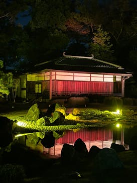 NAKED meets 二条城 2025 観月に投稿された画像（2023/11/23）