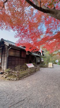 博物館 明治村に投稿された画像（2023/11/23）