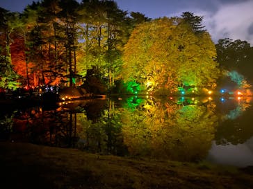 NAKED 紅葉の新宿御苑2023に投稿された画像（2023/11/23）