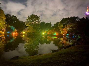 NAKED 紅葉の新宿御苑2023に投稿された画像（2023/11/23）