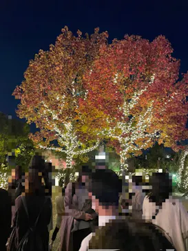 ひらかたパークに投稿された画像（2023/11/23）