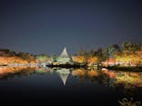 国営昭和記念公園 秋の夜散歩に投稿された画像（2023/11/24）