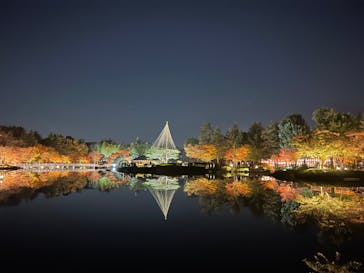 国営昭和記念公園 秋の夜散歩に投稿された画像（2023/11/23）