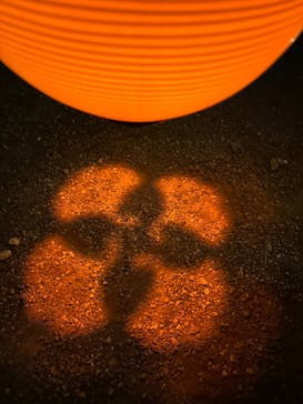 NAKED 紅葉の新宿御苑2023に投稿された画像（2023/11/23）