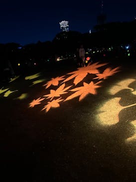 NAKED 紅葉の新宿御苑2023に投稿された画像（2023/11/23）