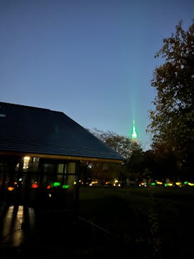 NAKED 紅葉の新宿御苑2023に投稿された画像（2023/11/23）